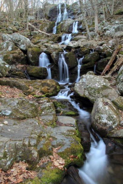 istock Dark Hollow Falls in Shenandoah National Park 1040774330