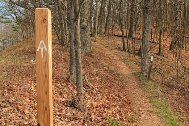 szlak appalachów - appalachian trail sign dirt road footpath zdjęcia i obrazy z banku zdjęć