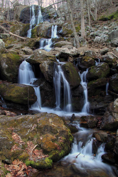 istock Dark Hollow Falls in Shenandoah National Park 1040784958