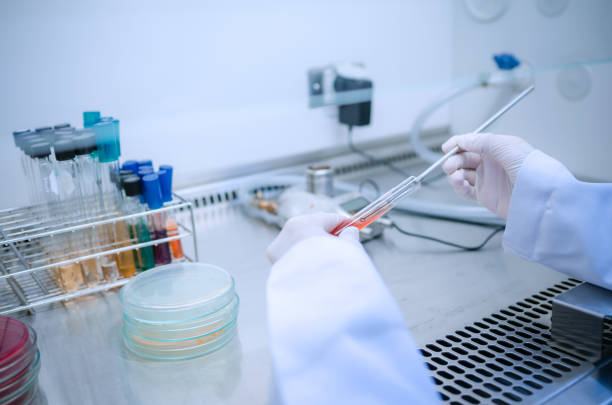 istock Scientist used chemical solution and equipment lab testing for Bacteria or virus on Fume Hood in laboratory ,Research and Science concept 1040805242