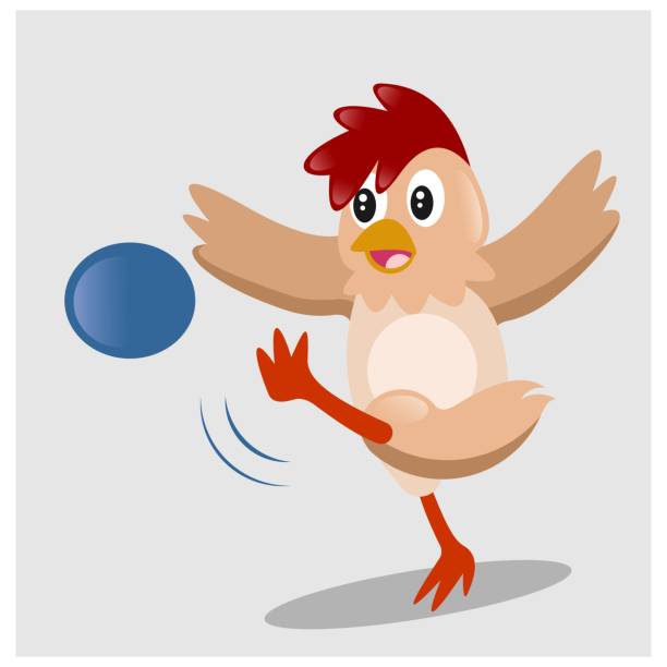 funny and adorable playing and kicking soccer or football, cartoon character picture of funny young playing and kicking soccer or football chicken balls stock illustrations