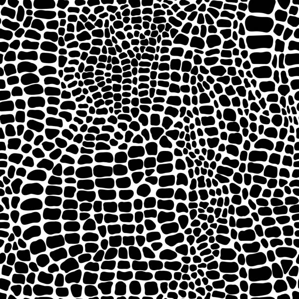 ilustrações de stock, clip art, desenhos animados e ícones de vector seamless pattern with crocodile or alligator skin. monochrome leather wallpaper. animalistic background. - textured sport leather backgrounds