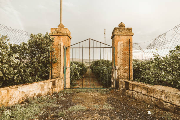 Old gates of a mediterranean olive farm