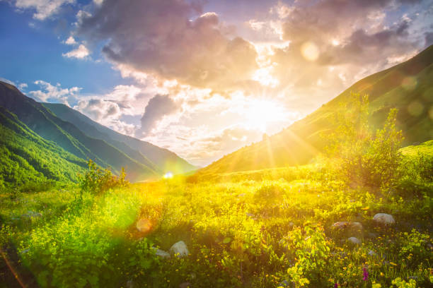 istock Sunny mountains landscape. Mountain range and yellow sunlight on grassy hills. Amazing sunset in highlands. Svaneti nature scenery. Vivid sun over beautiful wild nature. Vibrant landscape. 1040841664