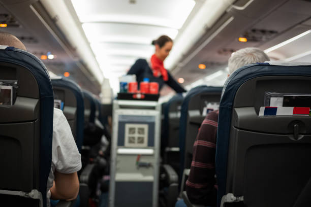 istock Back view of passengers traveling by airplane. 1040850748
