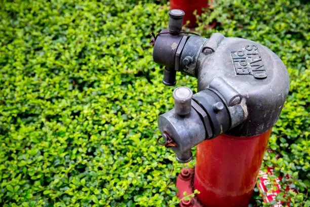fire pipe in the garden for fire safety. standard safety of industrial and building. image for background, wallpaper and copy space.standpipe
