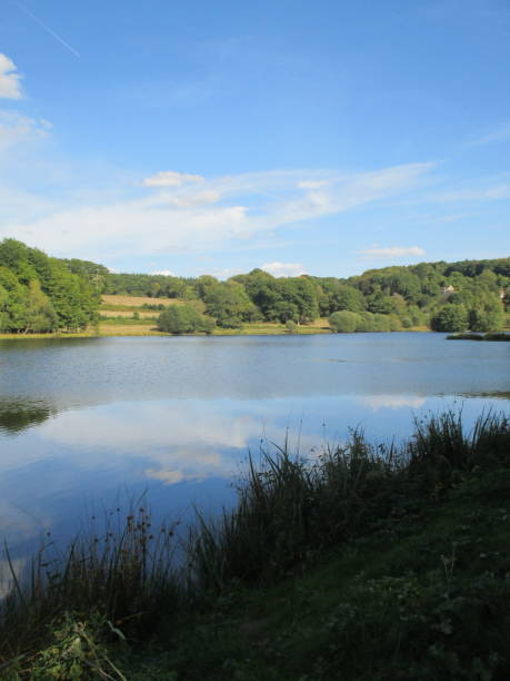istock Pond lined with trees reflections of clouds 1040856558