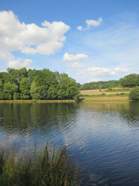 istock Pond lined with trees reflections of clouds 1040856960