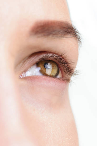 istock Eyelash Extension Procedure. Woman Eye with Long Eyelashes. Lashes, close up, macro, selective focus 1040859454