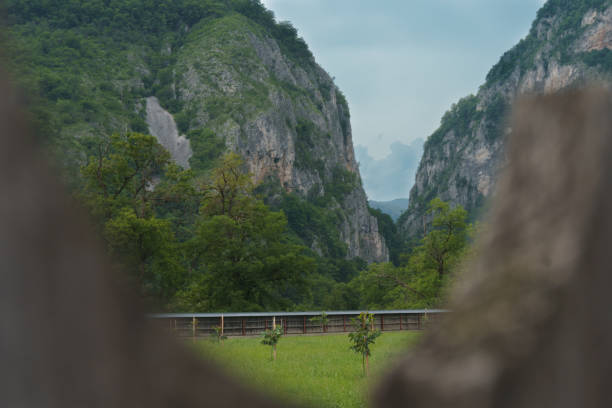 Oltetului gorge in Polovragi area