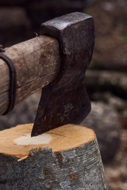 istock The old ax for cutting firewood sticks 1040882300