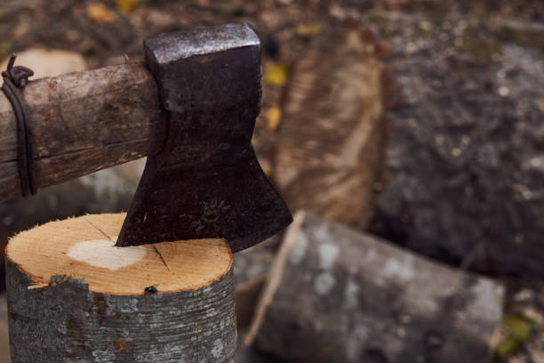 istock The old ax for cutting firewood sticks 1040882320