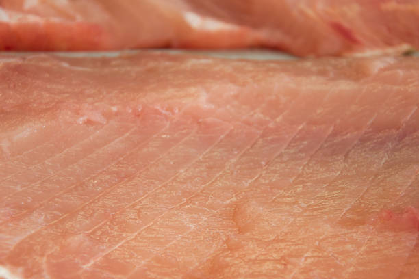 istock Close up view of fresh fish fillet 1040886356