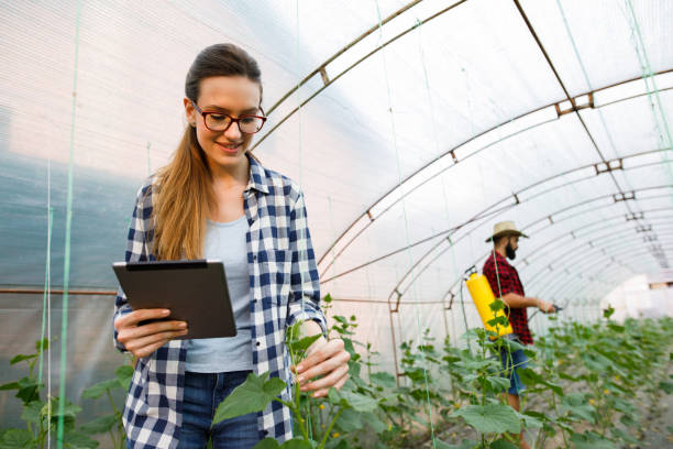 istock Young woman with digital tablet working in a greenhouse 1040887422