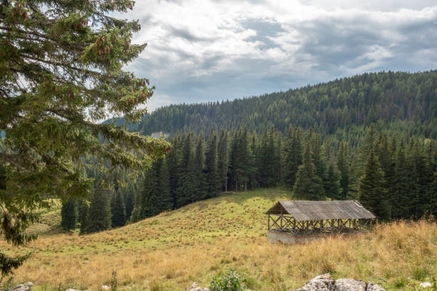 istock Old mountainside log cabin in Bucegi National Park 1040890762