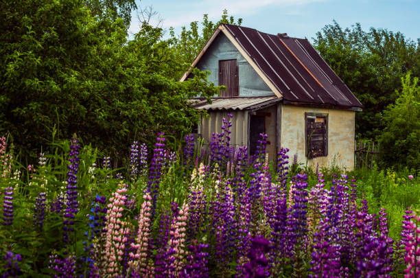 istock the old overgrown small house with flowers 1040892742