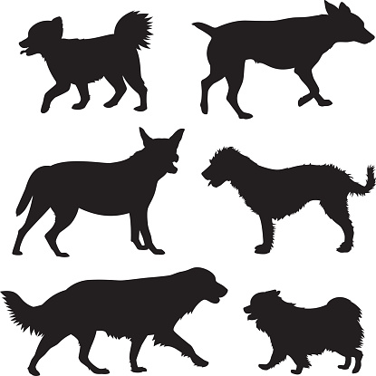 Vector silhouettes of a group of dogs.