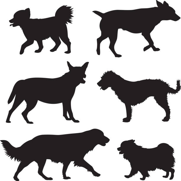 Dog Silhouettes 9 Vector silhouettes of a group of dogs. shaggy fur stock illustrations