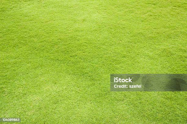 Трава — стоковые фотографии и другие картинки Абстрактный - Абстрактный, Без людей, Верхний ракурс