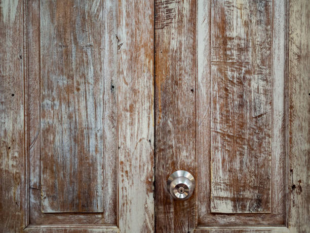 istock Wooden door 1040908038
