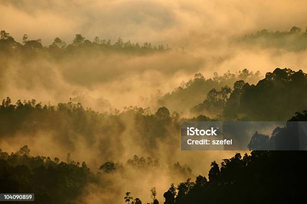 Photo libre de droit de Brume Matinale banque d'images et plus d'images libres de droit de Highlands écossaises - Highlands écossaises, Vue aérienne, Arbre