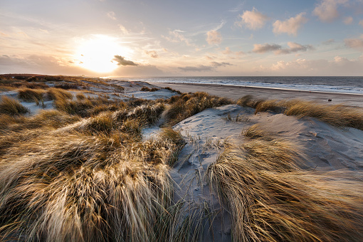 Marram grass in the wind in front of blue sky with cirrus clouds