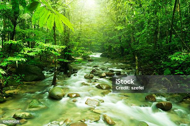 산 스트림 말레이시아에 대한 스톡 사진 및 기타 이미지 - 말레이시아, 폭포, 강