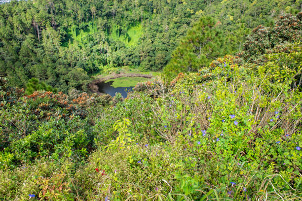 istock Trou aux Cerfs volcanic crater in Mauritius. 1040913544