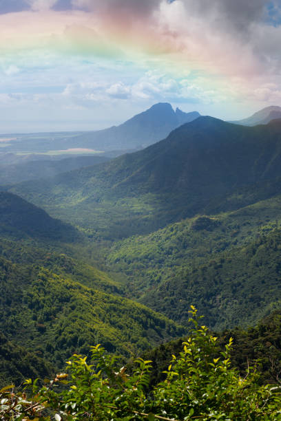 The Black River Gorges on Mauritius are home to most of the island’s indigenous fauna and flora. They lie to the south west of the islands interior and cover an area of 16,250 acres.
