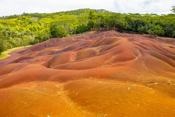 istock Seven coloured earth and rainforest of Chamarel in Mauritius. 1040920906