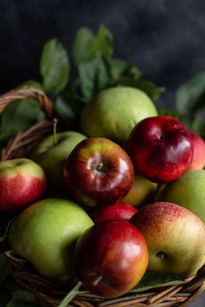 istock Red and green apples. Close-up. 1040921004