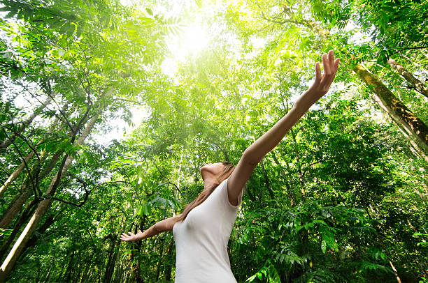 jovem mulher desfrutar de natureza na floresta verde - beauty in nature - fotografias e filmes do acervo