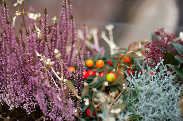 istock Close-Up Of Christmas Decoration 1040932334