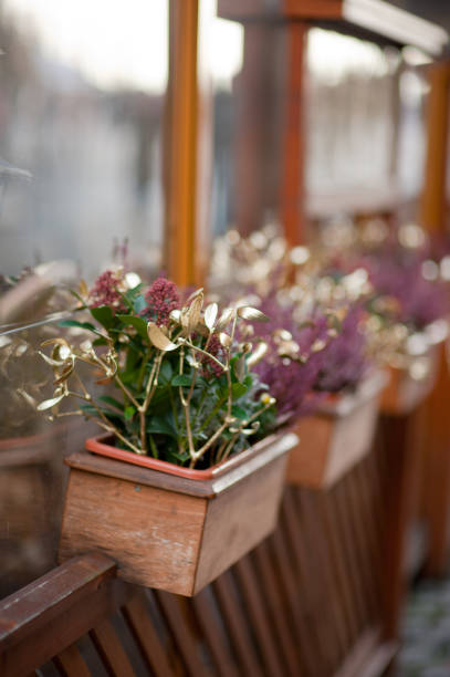 istock Close-Up Of Christmas Decoration 1040932390