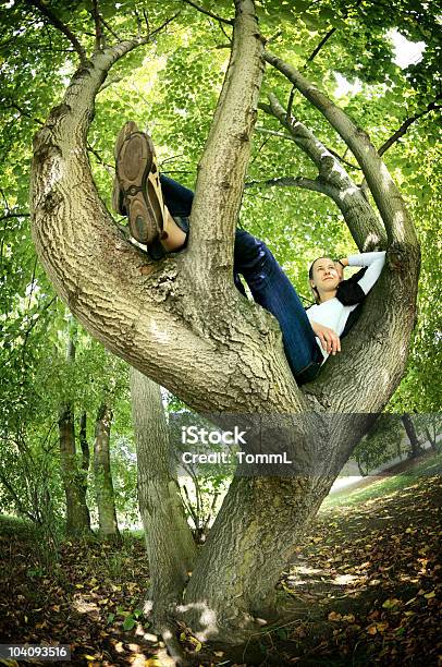 Relaxing In A Tree Stock Photo - Download Image Now - Adult, Adults Only, Autumn