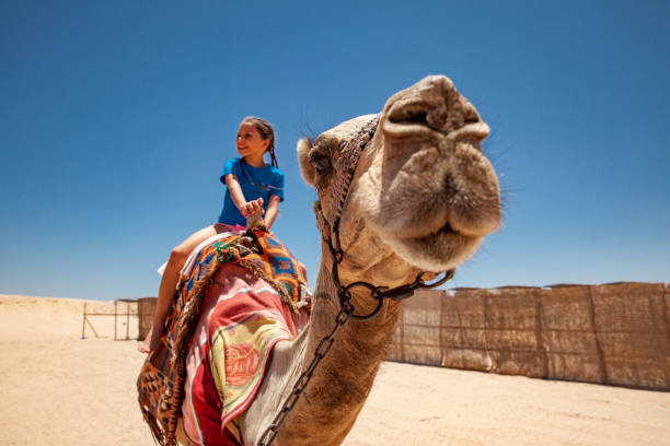 istock Young Girl Enjoying Riding a Camel in Egypt 1040935180