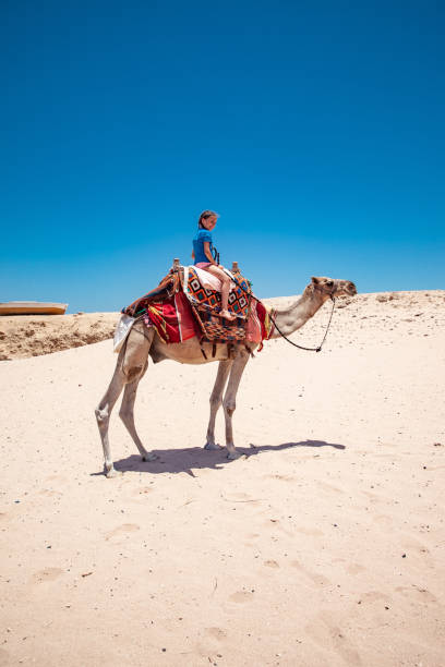 istock Young Girl Enjoying Riding a Camel in Desert 1040935182