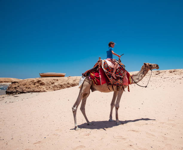 istock Young Girl Enjoying Riding a Camel in Desert 1040935188