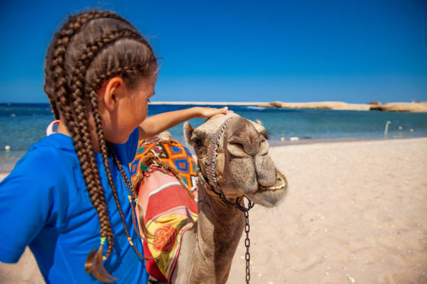 istock Smiling Young Girl Bonding With Camel 1040935232