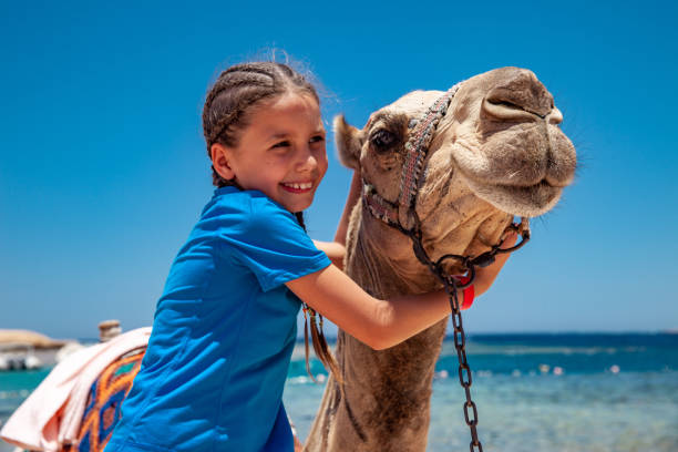 istock Young Girl Bonding With a Camel on Summer Vacations 1040935238