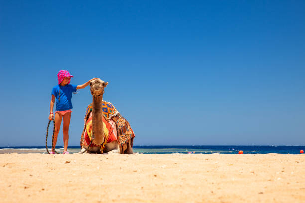 istock Young Girl Enjoying Stroking a Camel on Summer Vacations 1040935242