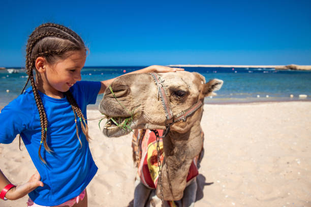 istock Smiling Young Girl Bonding With Camel 1040935268