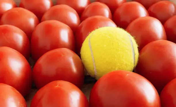 Red tomatoes and yellow tennis ball. Difference concept. Close-up