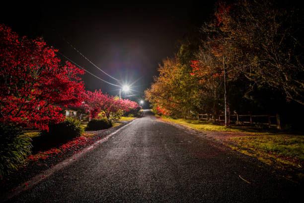 istock Colours of autumn 1040945346