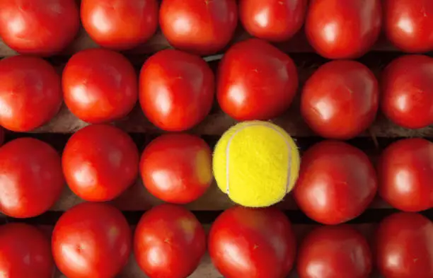 Red tomatoes and yellow tennis ball. Difference concept. Top view