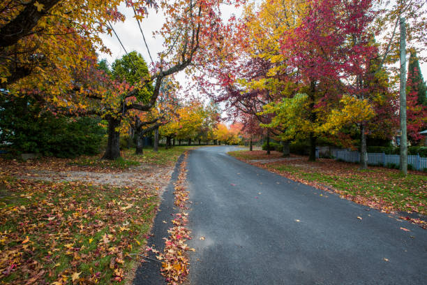istock Colours of autumn 1040948916