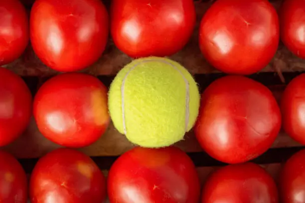 Red tomatoes and yellow tennis ball. Unique concept. Top view