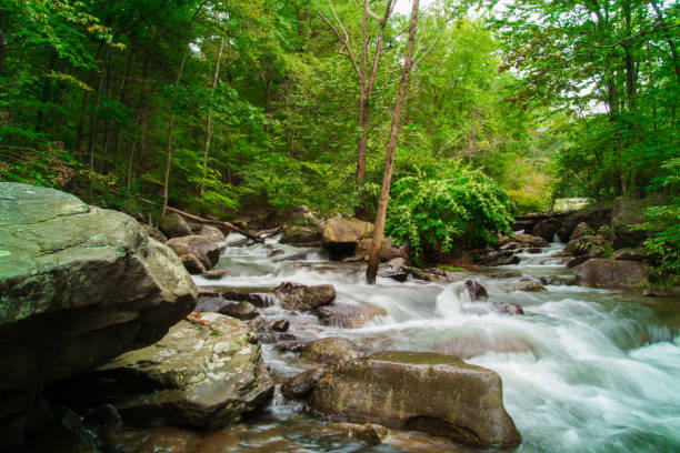 istock Fresh Water Stream Flowing Swiftly Over Rocky Forest Landscape 1040950236