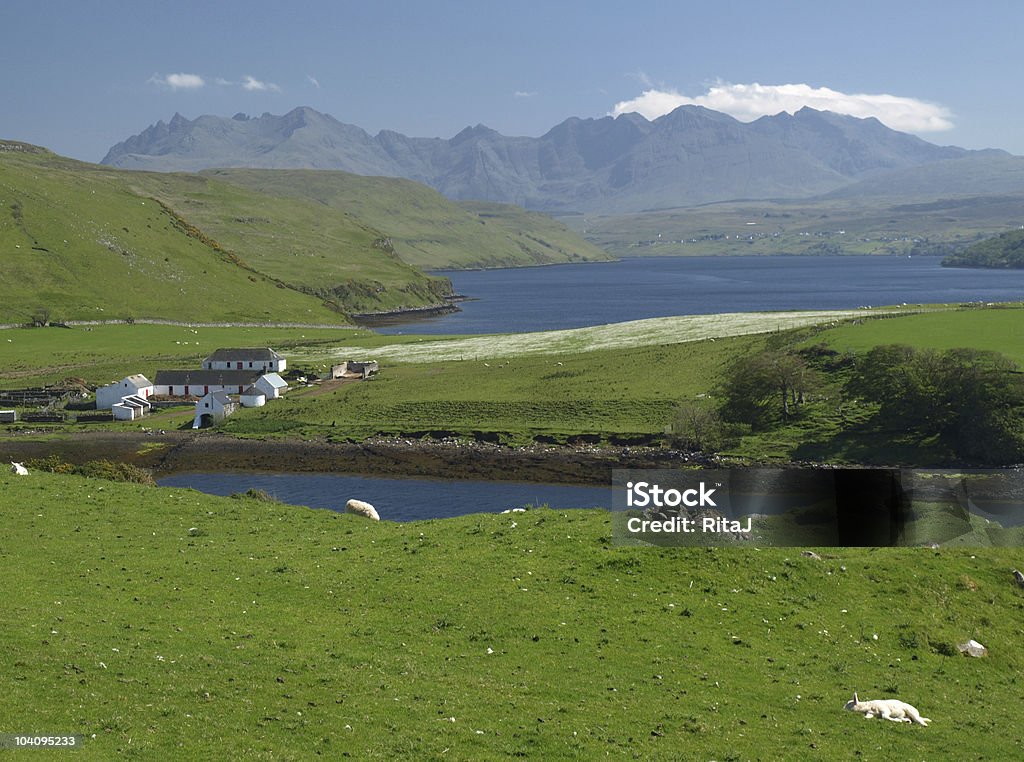 Farmstead pelo Lago - Royalty-free Animal Foto de stock