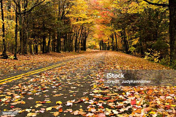 추절 로드 Grayson 하이랜드 주립 공원 버지니아 버지니아-미국 주에 대한 스톡 사진 및 기타 이미지 - 버지니아-미국 주, 0명, 10월